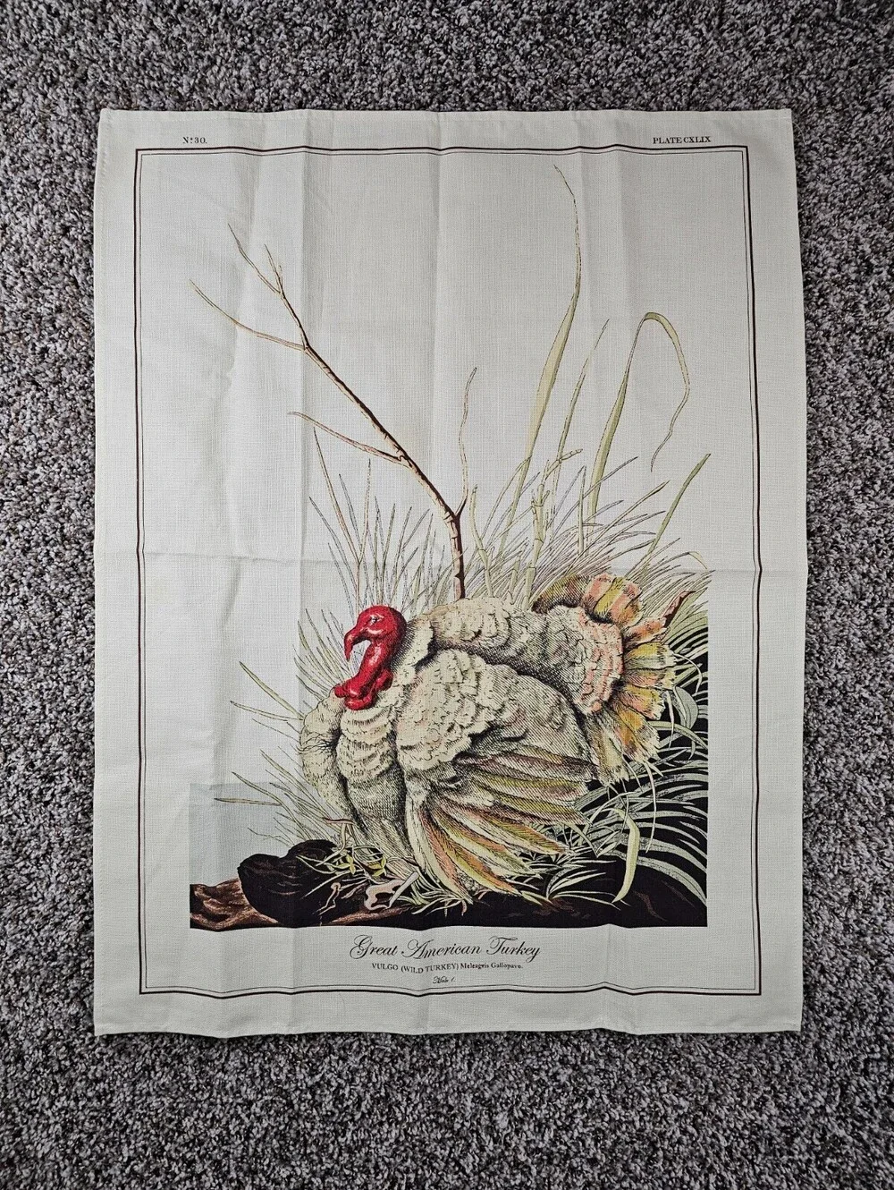 Williams-Sonoma 